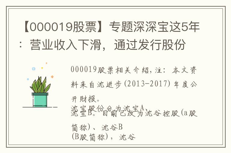 【000019股票】專題深深寶這5年：營業(yè)收入下滑，通過發(fā)行股份收購深糧，將走向哪？