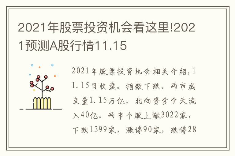 2021年股票投資機(jī)會(huì)看這里!2021預(yù)測(cè)A股行情11.15