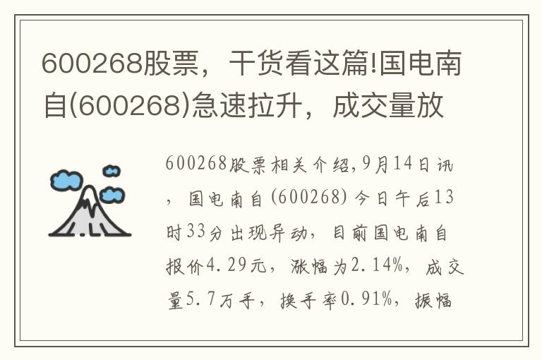 600268股票，干貨看這篇!國(guó)電南自(600268)急速拉升，成交量放大