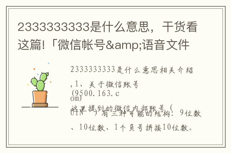 2333333333是什么意思，干貨看這篇!「微信帳號&語音文件」結(jié)構(gòu)分析