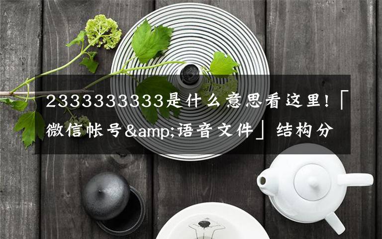 2333333333是什么意思看這里!「微信帳號(hào)&語音文件」結(jié)構(gòu)分析