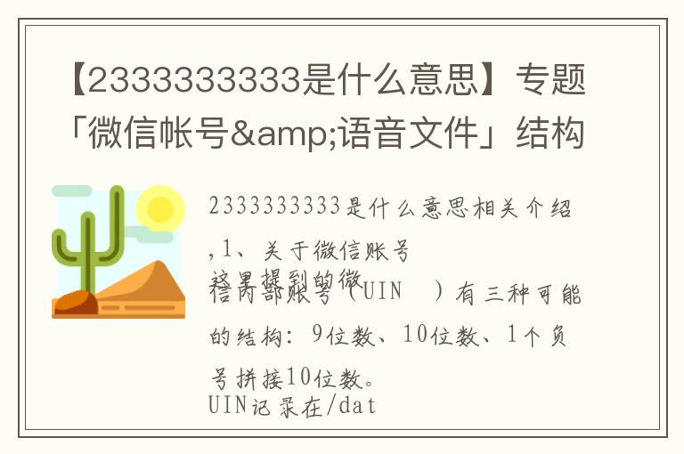 【2333333333是什么意思】專題「微信帳號&語音文件」結(jié)構(gòu)分析