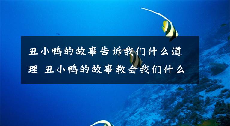 丑小鴨的故事告訴我們什么道理 丑小鴨的故事教會(huì)我們什么道理