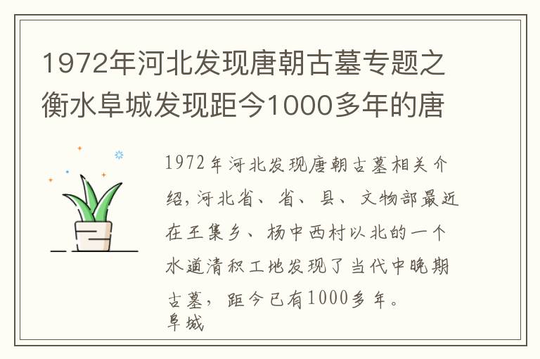 1972年河北發(fā)現(xiàn)唐朝古墓專題之衡水阜城發(fā)現(xiàn)距今1000多年的唐朝古墓！出土大量罕見文物