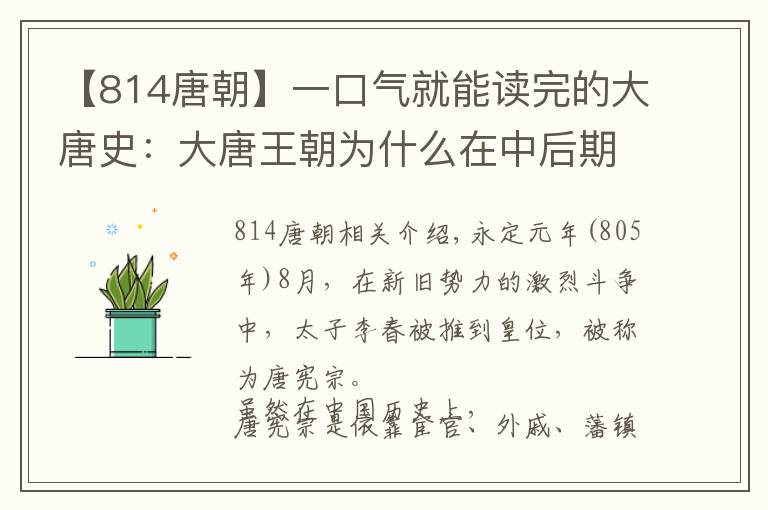 【814唐朝】一口氣就能讀完的大唐史：大唐王朝為什么在中后期無法再次中興？