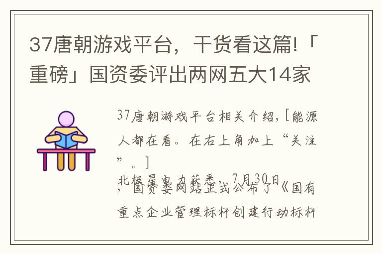 37唐朝游戲平臺，干貨看這篇!「重磅」國資委評出兩網(wǎng)五大14家標桿企業(yè)——“三個標桿”名單正式公布