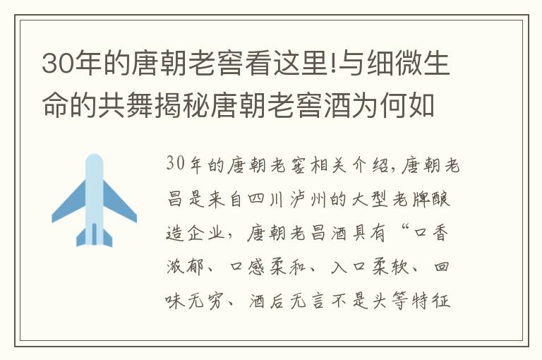 30年的唐朝老窖看這里!與細(xì)微生命的共舞揭秘唐朝老窖酒為何如此迷人