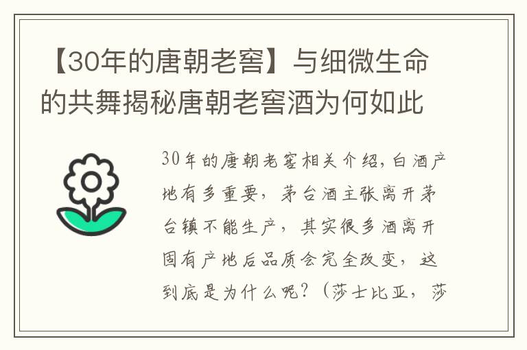 【30年的唐朝老窖】與細(xì)微生命的共舞揭秘唐朝老窖酒為何如此迷人