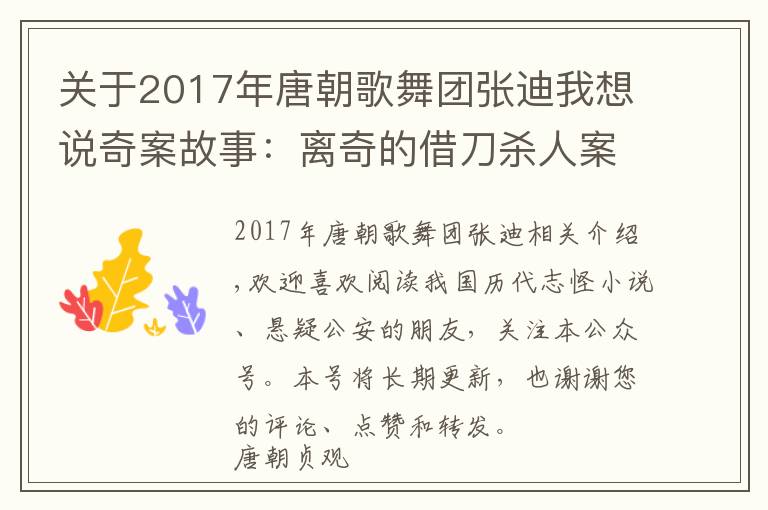 關(guān)于2017年唐朝歌舞團(tuán)張迪我想說奇案故事：離奇的借刀殺人案