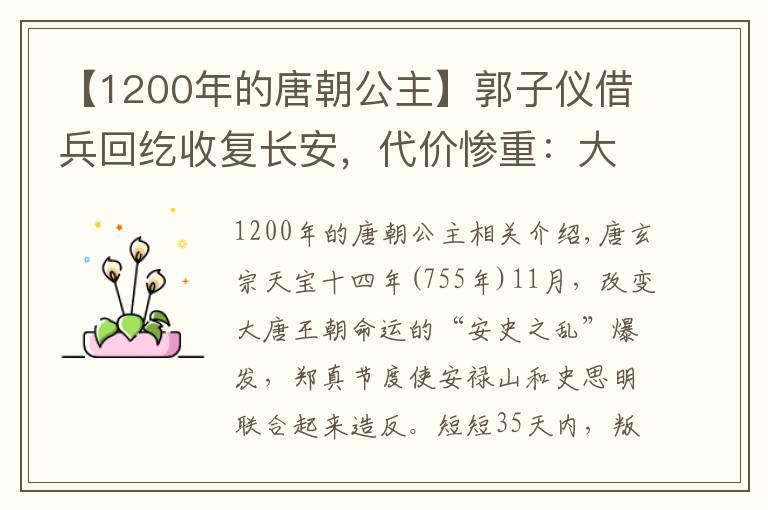 【1200年的唐朝公主】郭子儀借兵回紇收復(fù)長(zhǎng)安，代價(jià)慘重：大唐公主受辱，百姓遭劫