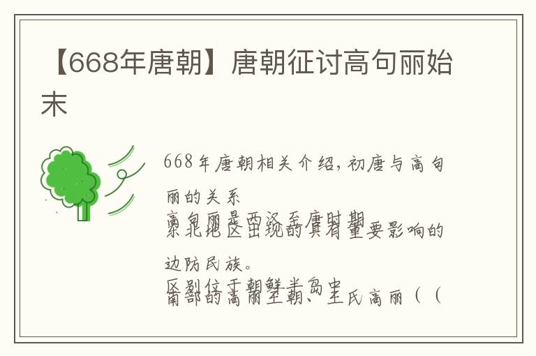 【668年唐朝】唐朝征討高句麗始末