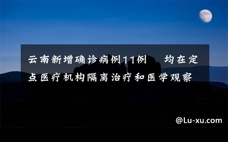 云南新增確診病例11例? 均在定點(diǎn)醫(yī)療機(jī)構(gòu)隔離治療和醫(yī)學(xué)觀察 目前是什么情況？