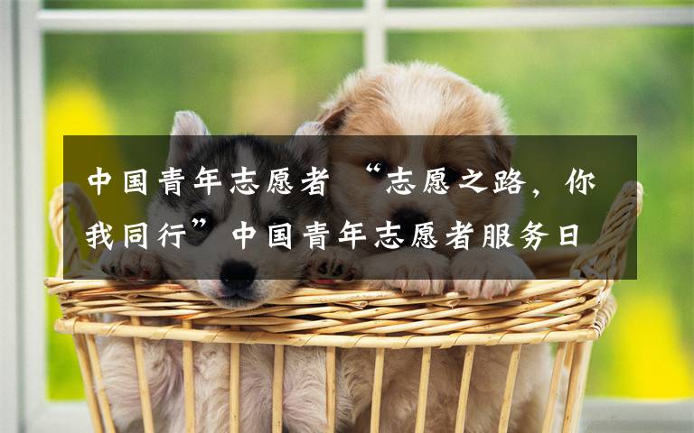 中國青年志愿者 “志愿之路，你我同行”中國青年志愿者服務(wù)日