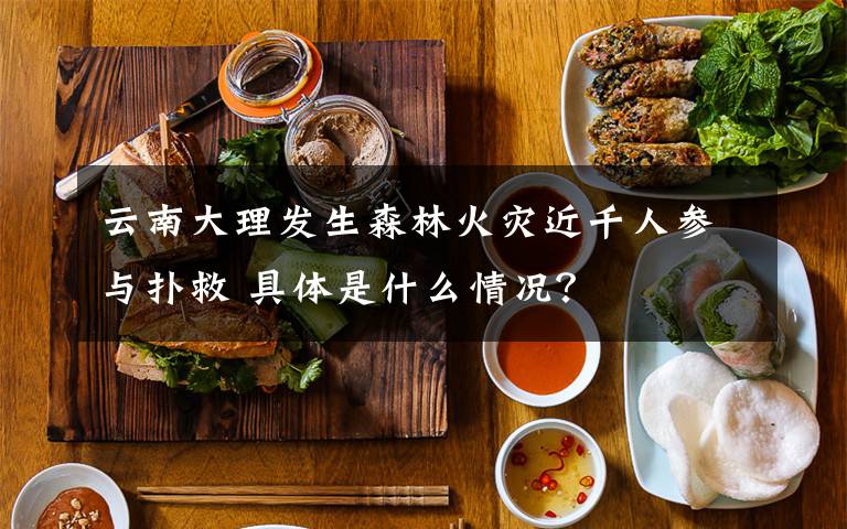 云南大理發(fā)生森林火災(zāi)近千人參與撲救 具體是什么情況？