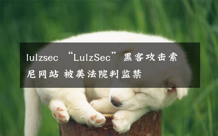 lulzsec “LulzSec”黑客攻擊索尼網(wǎng)站 被美法院判監(jiān)禁