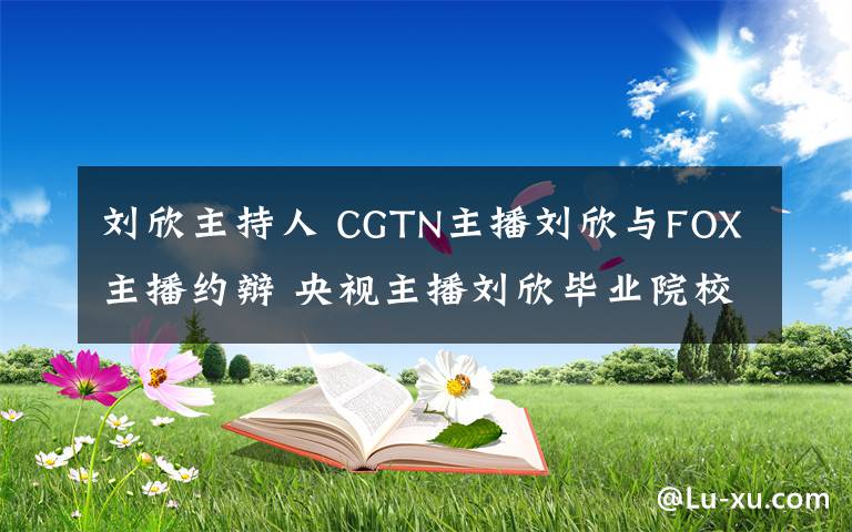 劉欣主持人 CGTN主播劉欣與FOX主播約辯 央視主播劉欣畢業(yè)院校家庭背景