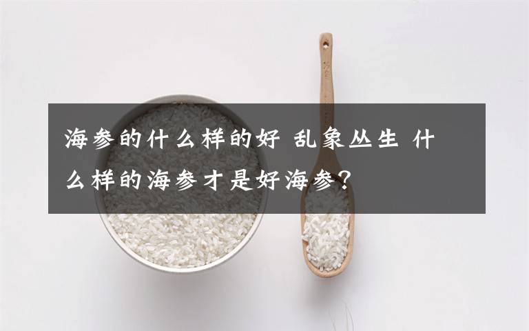 海參的什么樣的好 亂象叢生 什么樣的海參才是好海參？