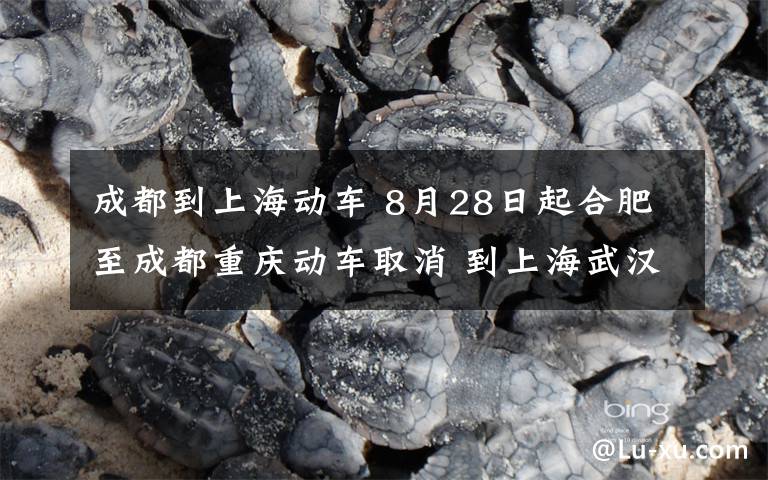 成都到上海動車 8月28日起合肥至成都重慶動車取消 到上海武漢動車減少