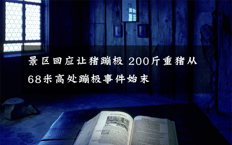 景區(qū)回應(yīng)讓豬蹦極 200斤重豬從68米高處蹦極事件始末