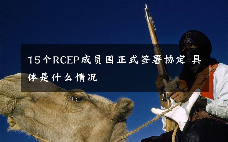 15個RCEP成員國正式簽署協(xié)定 具體是什么情況