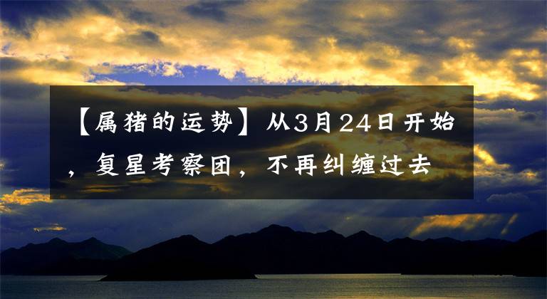 【屬豬的運(yùn)勢】從3月24日開始，復(fù)星考察團(tuán)，不再糾纏過去，重新出發(fā)的三大生肖。