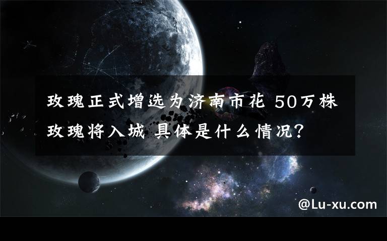 玫瑰正式增選為濟南市花 50萬株玫瑰將入城 具體是什么情況？