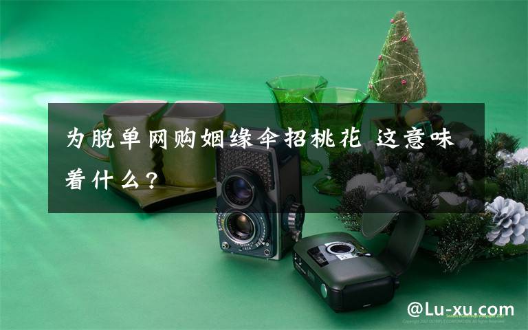 為脫單網(wǎng)購姻緣傘招桃花 這意味著什么?