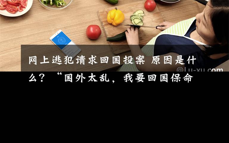 網(wǎng)上逃犯請(qǐng)求回國投案 原因是什么？“國外太亂，我要回國保命”