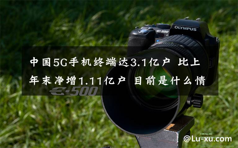 中國(guó)5G手機(jī)終端達(dá)3.1億戶 比上年末凈增1.11億戶 目前是什么情況？