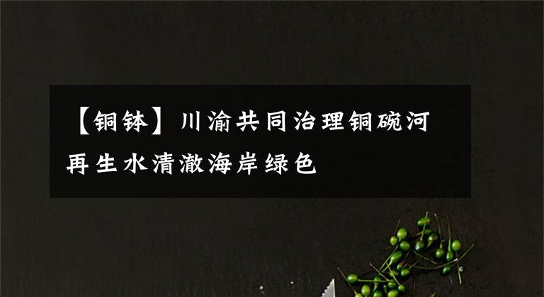 【銅缽】川渝共同治理銅碗河再生水清澈海岸綠色