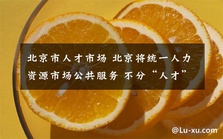 北京市人才市場 北京將統(tǒng)一人力資源市場公共服務(wù) 不分“人才”和“勞動力”