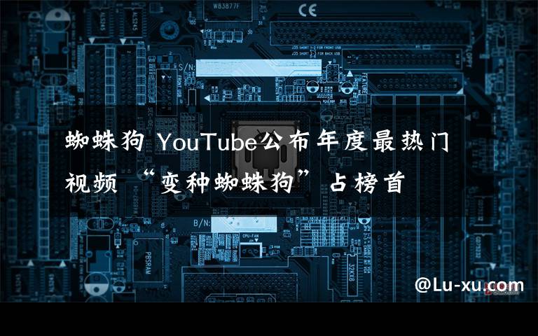 蜘蛛狗 YouTube公布年度最熱門視頻 “變種蜘蛛狗”占榜首