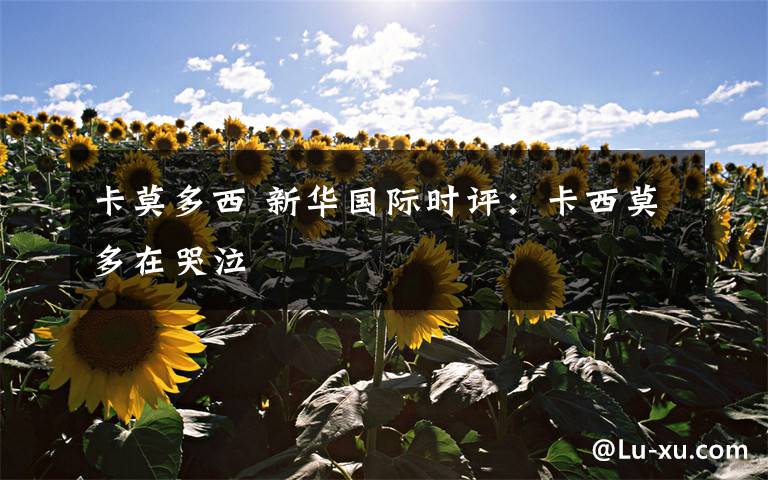 卡莫多西 新華國際時(shí)評(píng)：卡西莫多在哭泣