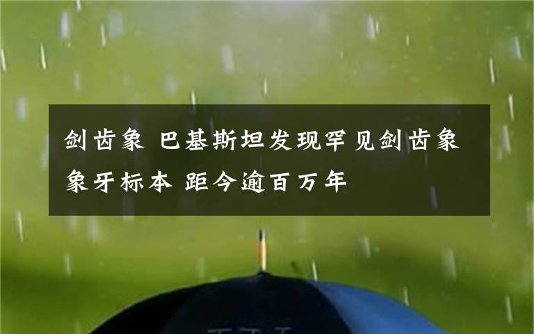 劍齒象 巴基斯坦發(fā)現(xiàn)罕見劍齒象象牙標(biāo)本 距今逾百萬(wàn)年