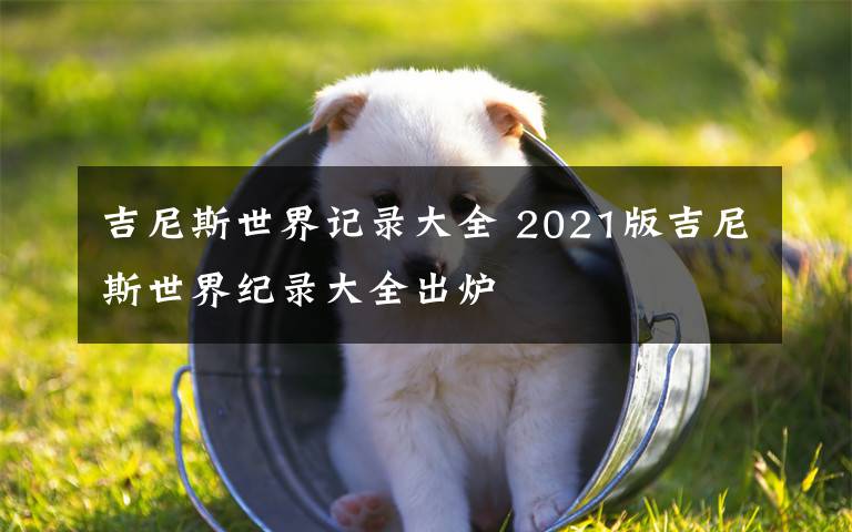 吉尼斯世界記錄大全 2021版吉尼斯世界紀(jì)錄大全出爐