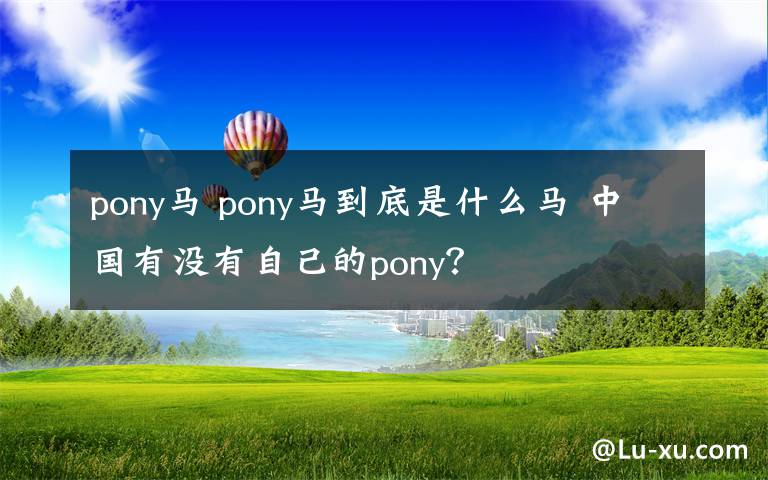 pony馬 pony馬到底是什么馬 中國有沒有自己的pony？