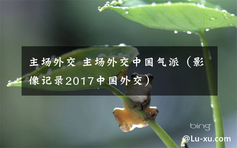 主場(chǎng)外交 主場(chǎng)外交中國(guó)氣派（影像記錄2017中國(guó)外交）