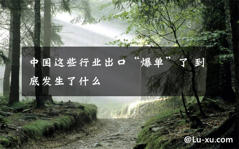 中國這些行業(yè)出口“爆單”了 到底發(fā)生了什么