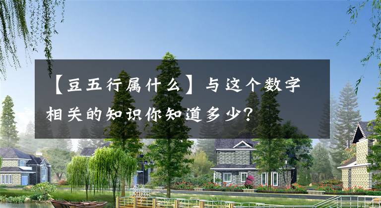 【豆五行屬什么】與這個(gè)數(shù)字相關(guān)的知識(shí)你知道多少？