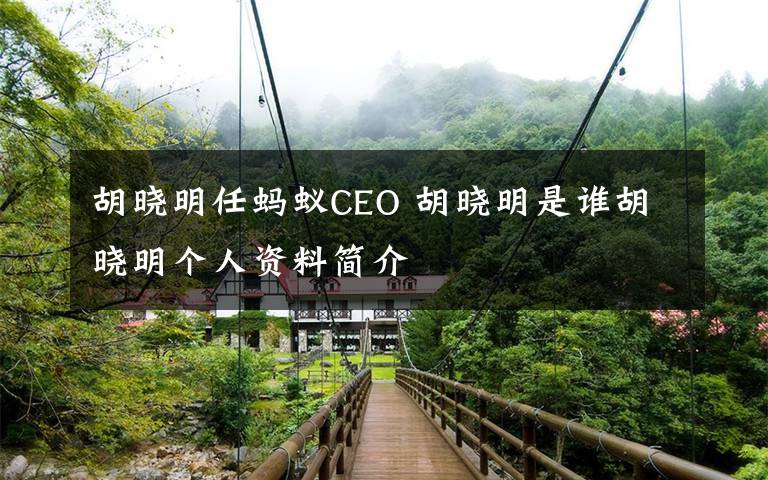 胡曉明任螞蟻CEO 胡曉明是誰胡曉明個人資料簡介