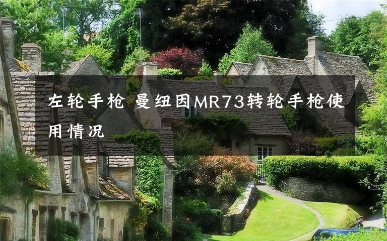 左輪手槍 曼紐因MR73轉(zhuǎn)輪手槍使用情況