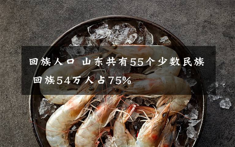 回族人口 山東共有55個(gè)少數(shù)民族 回族54萬(wàn)人占75%