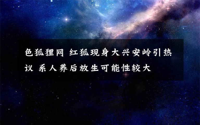 色狐貍網(wǎng) 紅狐現(xiàn)身大興安嶺引熱議 系人養(yǎng)后放生可能性較大