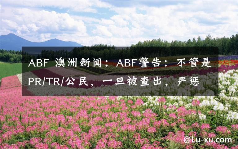 ABF 澳洲新聞：ABF警告：不管是PR/TR/公民，一旦被查出，嚴(yán)懲不貸！