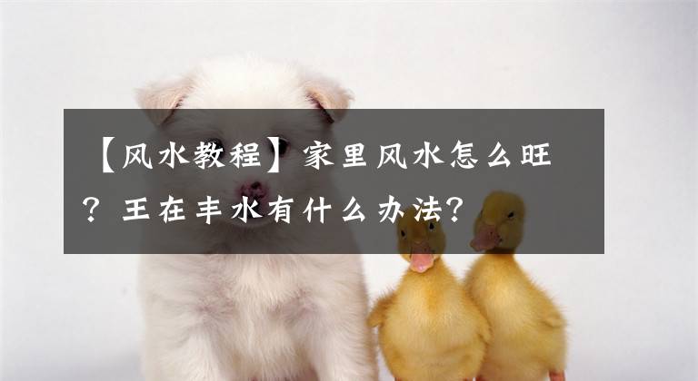 【風(fēng)水教程】家里風(fēng)水怎么旺？王在豐水有什么辦法？