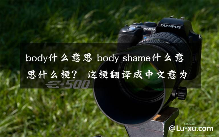 body什么意思 body shame什么意思什么梗？ 這梗翻譯成中文意為外貌羞辱