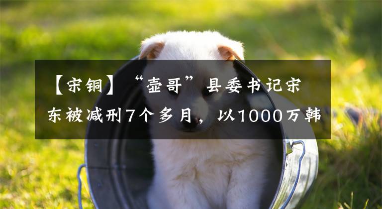 【宋銅】“壺哥”縣委書記宋東被減刑7個多月，以1000萬韓元以上的賄賂買了紫砂壺。