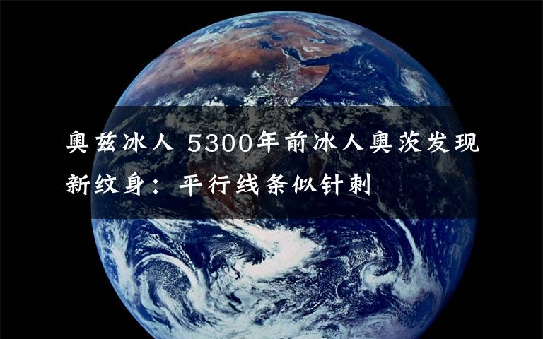 奧茲冰人 5300年前冰人奧茨發(fā)現(xiàn)新紋身：平行線條似針刺