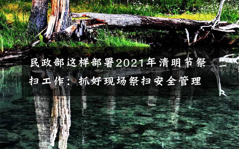 民政部這樣部署2021年清明節(jié)祭掃工作：抓好現場祭掃安全管理，確保祭掃平安有序 還原事發(fā)經過及背后原因！