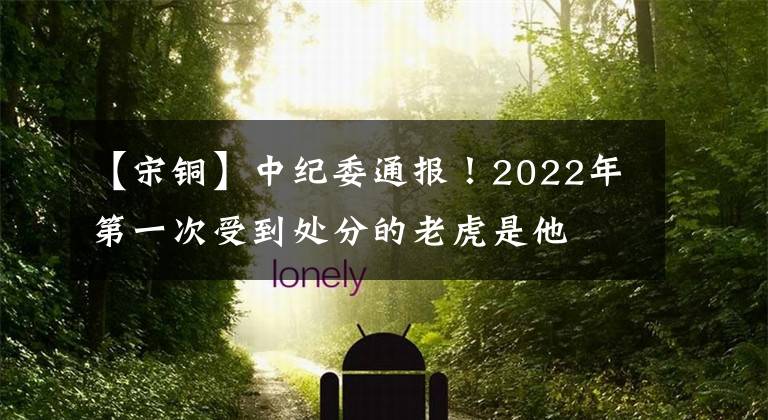 【宋銅】中紀(jì)委通報！2022年第一次受到處分的老虎是他